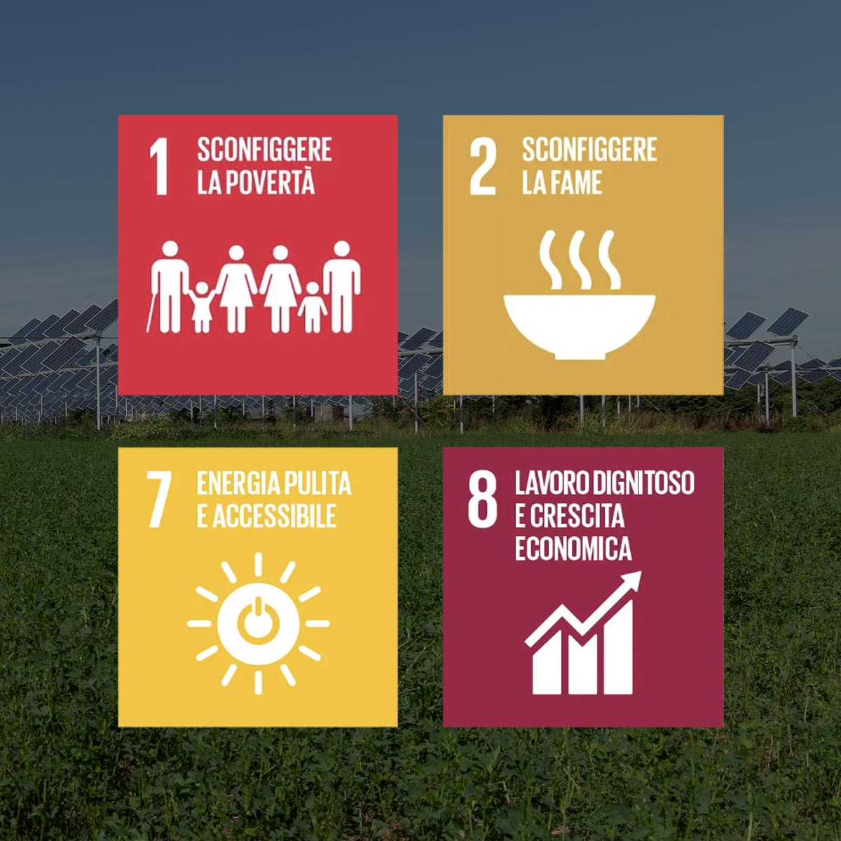 Attività Agrivoltaico Ergeva