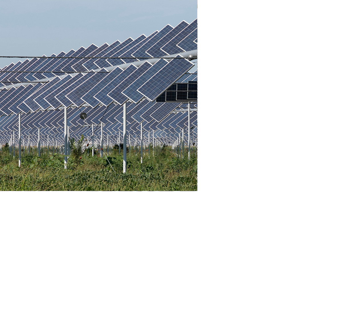 Parco Agrivoltaico Ergeva