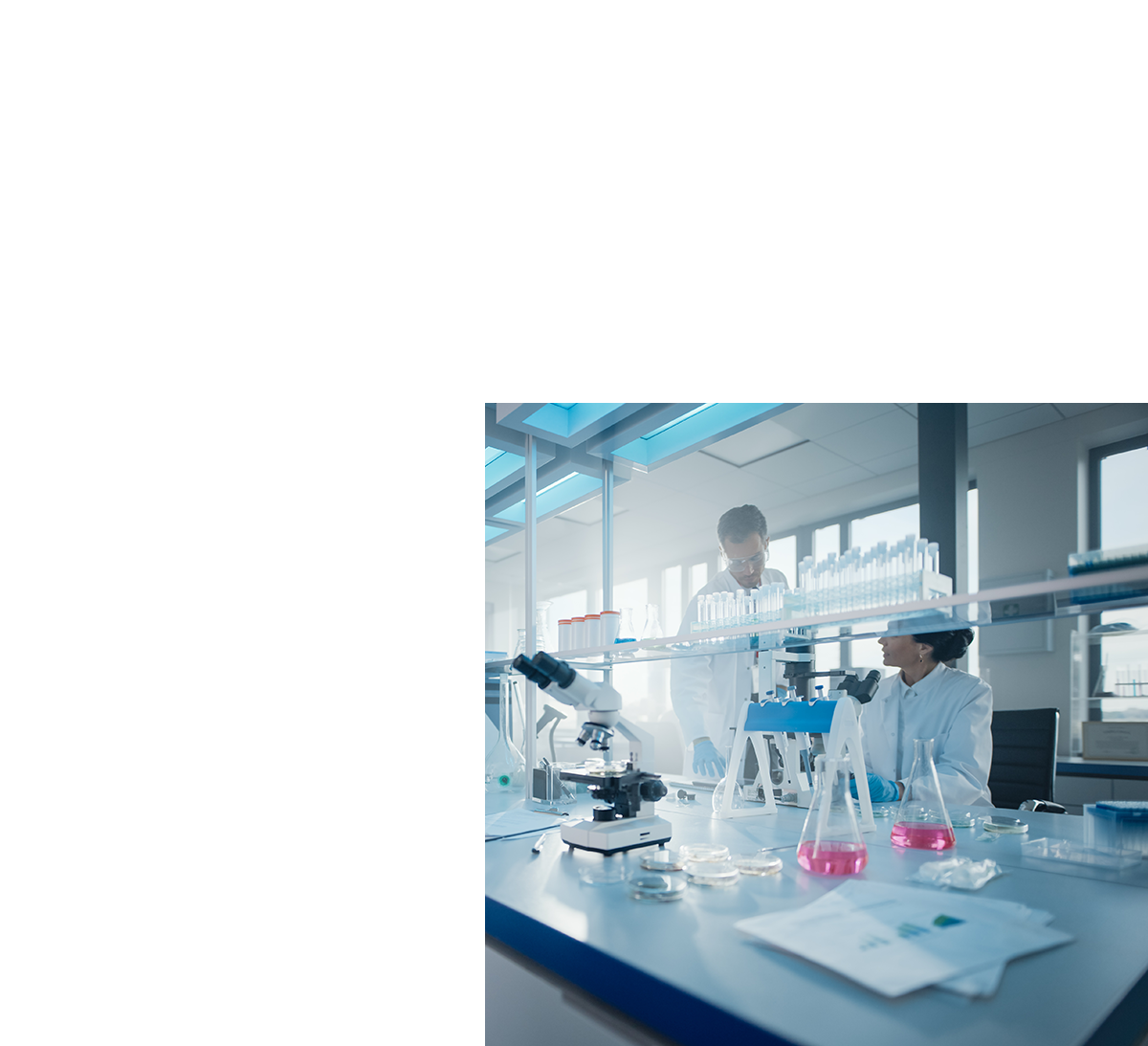 Produzione Microalghe Ergeva